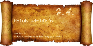 Holub Adrián névjegykártya